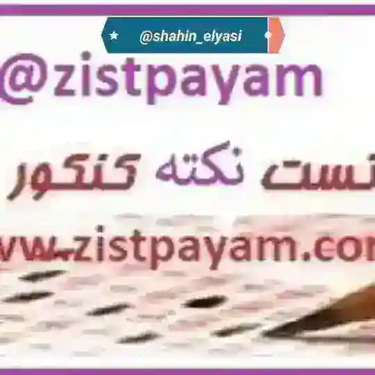 Zistpayam