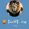 الوكيلة مريم بوت الاسد