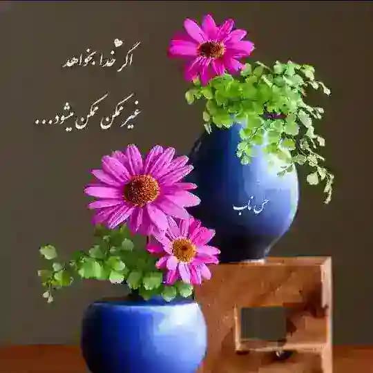 کانال خودم۵
