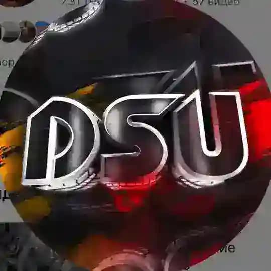 DSU 🏰