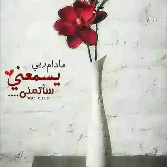 الزَّوًّجَةٍُ َ النَاجَحَةٍُ ❥🌸