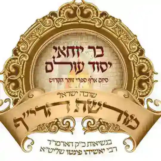זוהר יומי