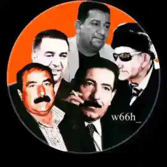 قناة شعر الشعبي ابو ذيات