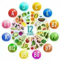 Gesundheit 🥒 Ernährung 🥝 & Abnehmen 🍉 Profile