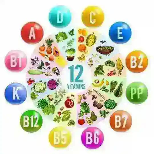 Gesundheit 🥒 Ernährung 🥝 & Abnehmen 🍉 Profile