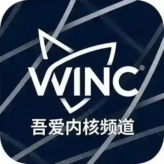 吾爱内核破解频道（三角洲/无畏契约/和平精英/PUBG）