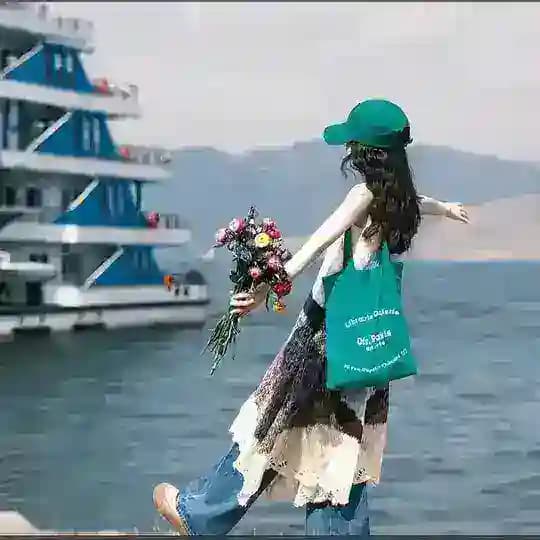 微信-QQ-注册-fb-ws-line（麦兜）