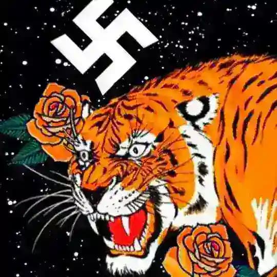 zyklon⃟ beast