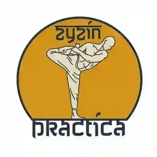 Зызин Практика