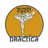Зызин Практика