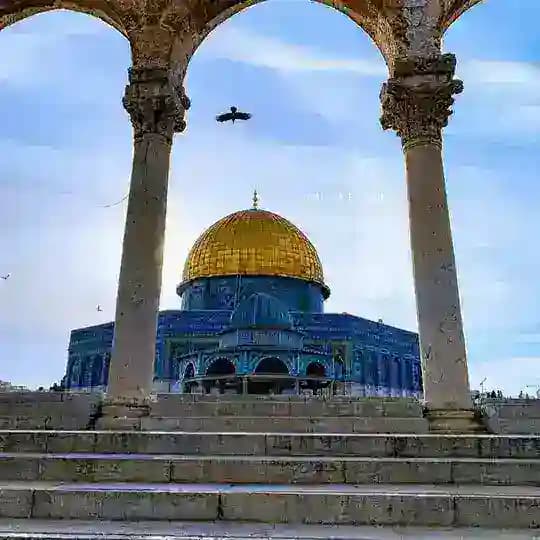 فِـلَسْـ𓂆ـطِين♡🇵🇸طمئن قلبك