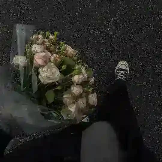 حالات واتساب صور انستا رسائل
