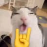 𝑨𝑳𝑰𝑺𝑺 𝑾. Live