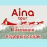 Айна Тур 🐾 Собачьи упряжки Сахалин🐕