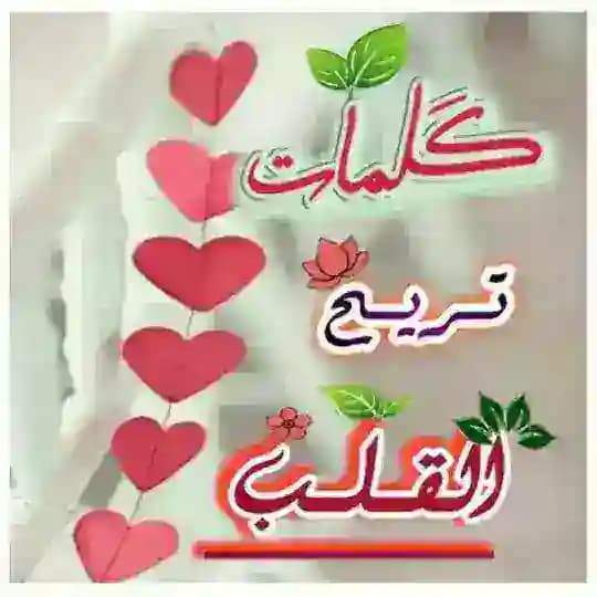 🍃 كــلمـ🌷ـات تريح القلـ🌹ـب🍃