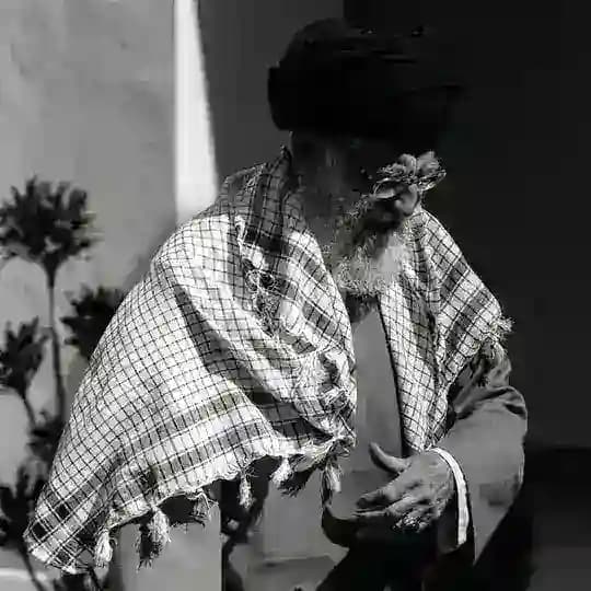 القائد الميداني - Alqaed Almaydani