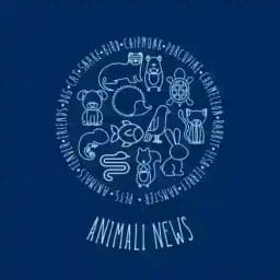 🐕‍🦺 ANIMALI NEWS 🐈‍⬛ Profile