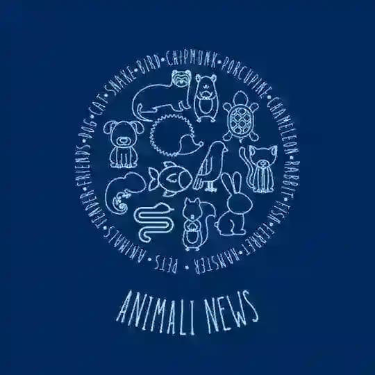 ๐โ๐ฆบ ANIMALI NEWS ๐โโฌ