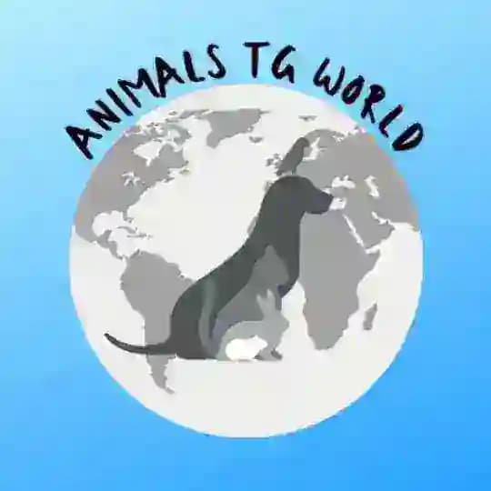 🐾💎 ANIMALS TG WORLD™️ 💎🐾