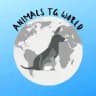 🐾💎 ANIMALS TG WORLD™️ 💎🐾