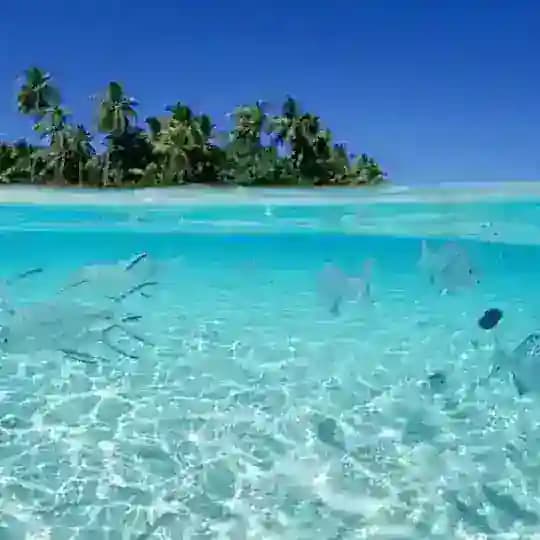 Aruba Profile