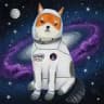 Astroid Floki | $ASTROFLOKI