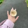 Avtorское видение 🔮