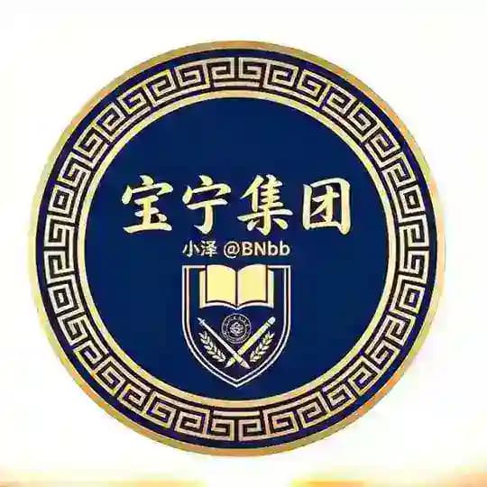 保宁集团 @BNbb