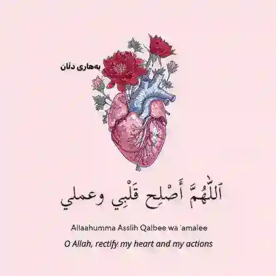 بـەهــاری دڵـان🎀"