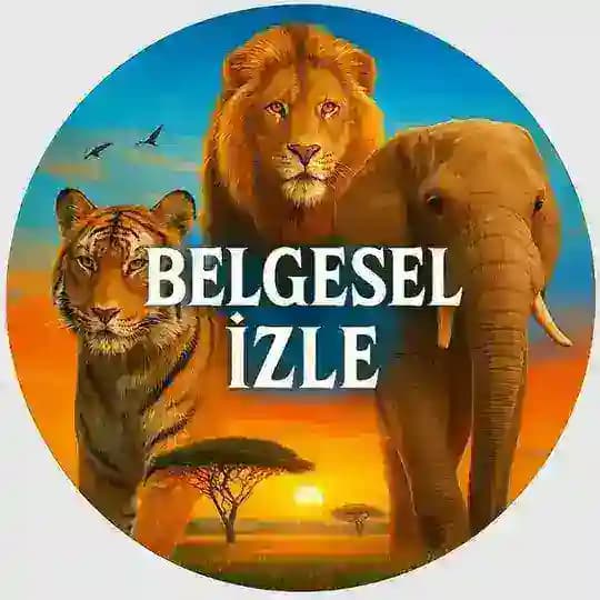 📺 Belgesel İzle | Documentary Hub (Türkçe & English)