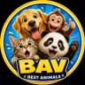 Animal Planet Clips 🐾🔥