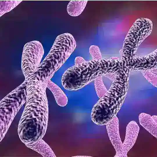 Biologiya_Kattaqo'rg'on