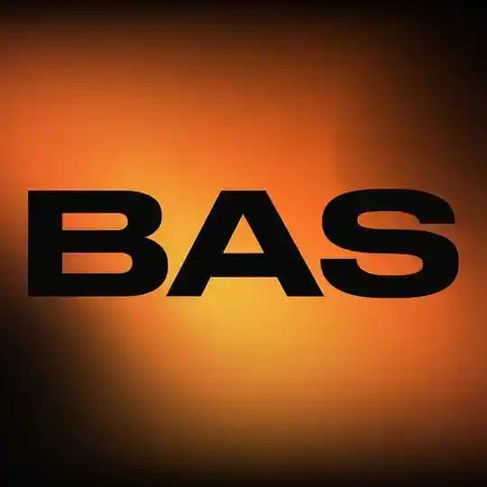 Business Adult Summit | BAS