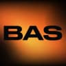 Business Adult Summit | BAS