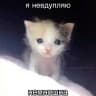 НАБОР В АДМИНЫ КОТИКИ С ПОДПИСЬЮ CONFESSION
