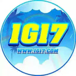 1G17 Channel Profile