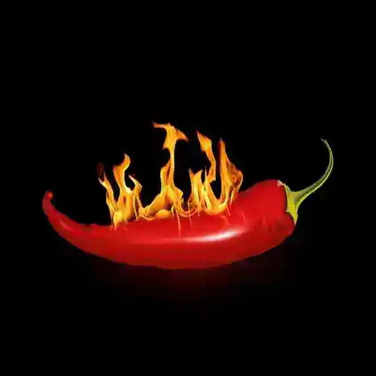 ChiliOutfits🌶️