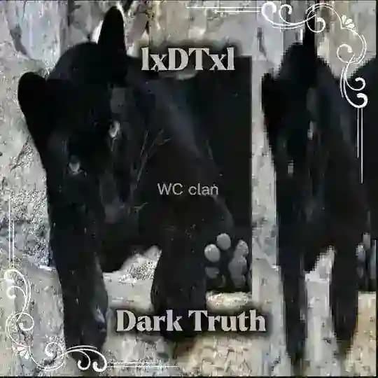 Ꮯlᴀn lxᎠᎢxl | Ꭰᴀrᴋ Ꭲruᴛh