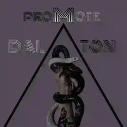 DALTON PROMOTE Profile