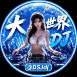 大世界DJ Profile