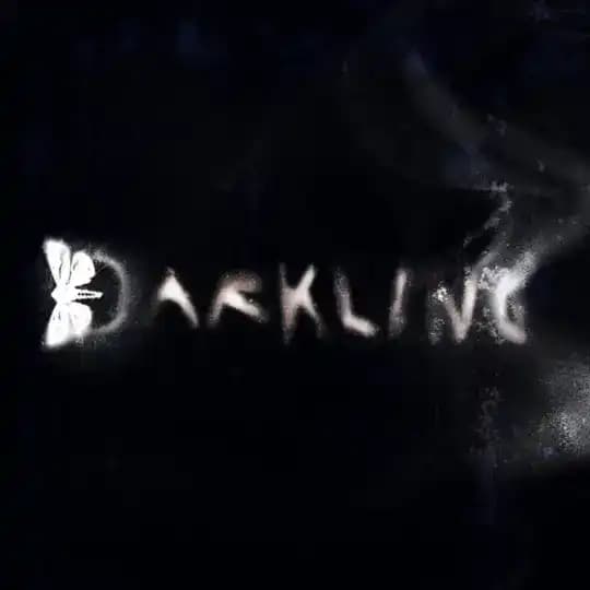 𝑫𝒂𝒓𝒌𝒍𝒊𝒏𝒈