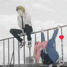 Denji CSM Profile