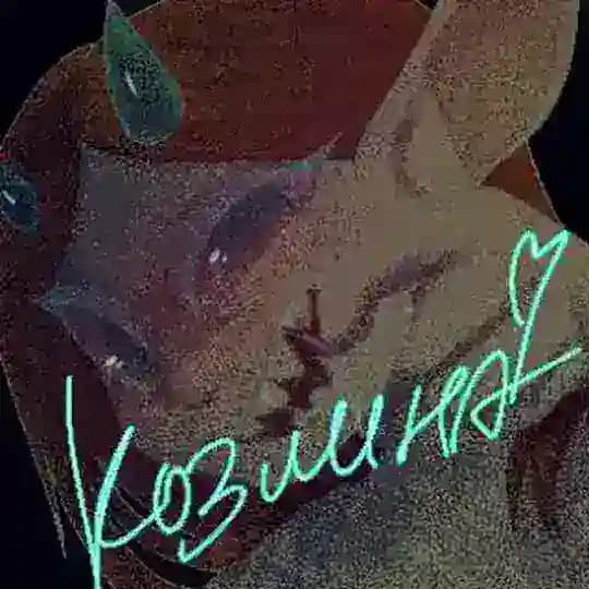 ♡kозлина♡