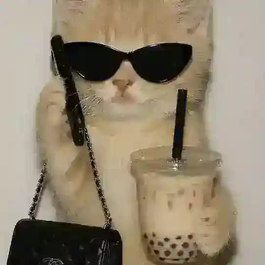 ♡Don Gato Inc♡