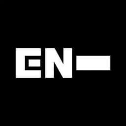 The Charismatic Princes, Enhypen. Profile