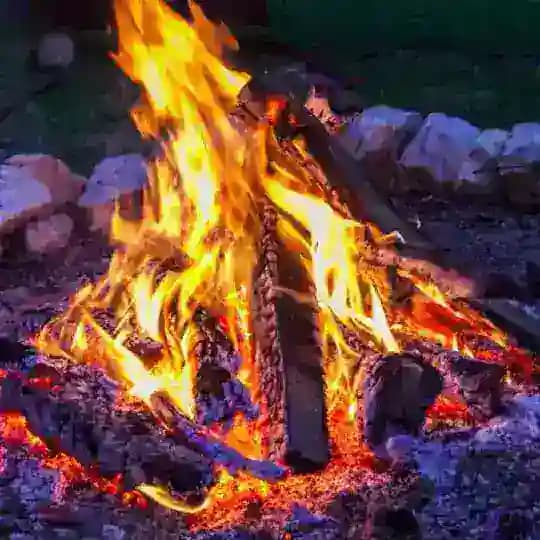 𝗘𝗥𝗗𝗞𝗥𝗔𝗙𝗧 | Wildnis & Survival 🔥 ✨