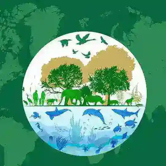 Environmentalhealth سلامت محیط زیست Profile