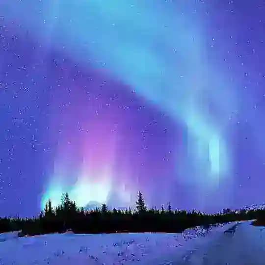 Северное Поместье