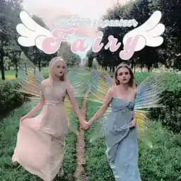 ✷ FAIRY ORGANIZER ✷ Profile