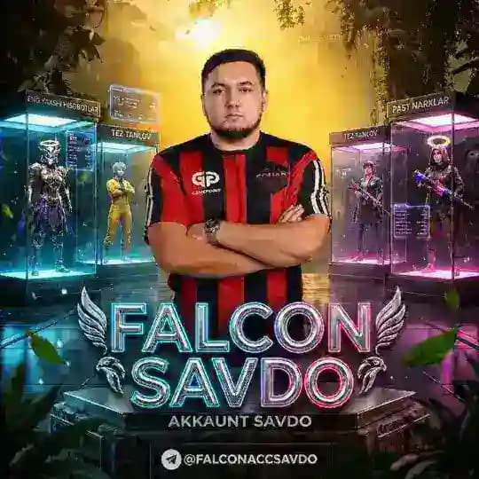 FALCON MINI AKKAUNT